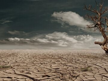 Efectos del cambio climático