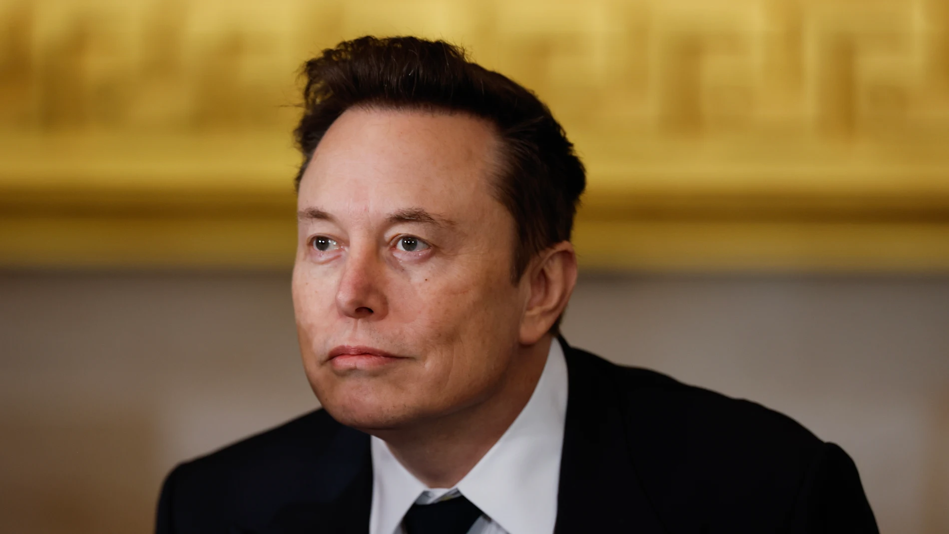Imagen de archivo de Elon Musk Imagen de archivo de Elon Musk
