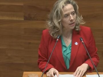 Belarmina Díaz, consejera de Transición Ecológica, Industria y Comercio del Gobierno asturiano